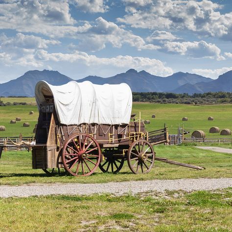 What Did Pioneers Eat on the Oregon Trail? | Taste of Home Oregon Trail Unit Study, Oregon Trail Activities, Lone Cowboy, Pioneer Day, Pioneer Life, Westward Expansion, The Oregon Trail, Some Things Never Change, Covered Wagon