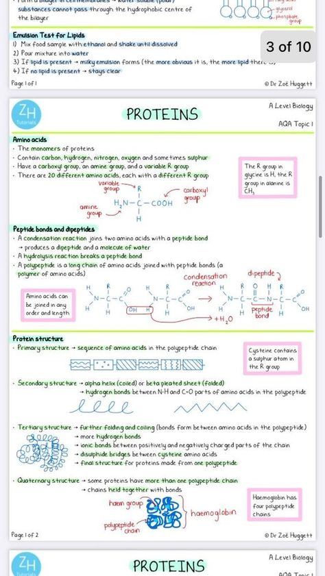 Ap Biology Notes Chemistry Of Life, Biomedical Science Notes Aesthetic, Bioenergetics Biology Notes, Biology Notes For Neet, Organic Molecules Biology, Bio Molecules Notes, Website For Biology Notes, Protein Notes Biochemistry, Websites For Biology Notes