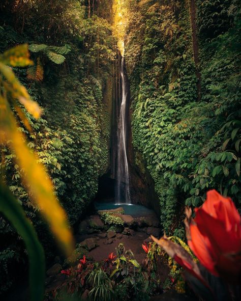 TRAVEL 🌎 EMMETT SPARLING on Instagram: “From a beautiful adventure through the jungle in Bali last year. We went and visited this waterfall after spending the night at a bamboo…” Voyage Bali, Countries Of The World, Beautiful World, Places To Travel, Aesthetic Pictures, Adventure Travel, Beautiful Places, Tourism, Travel Photography