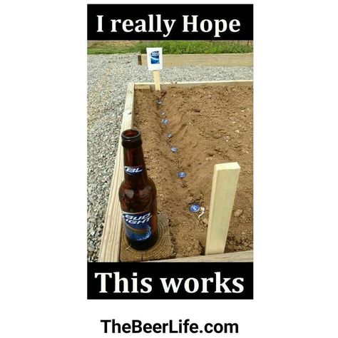 I'm expecting for good harvest. LOL Beer Slogans, Beer Puns, Drinking Funny, Beer Memes, National Beer Day, Bar Stuff, Beer Quotes, Beer Day, Memes Of The Day