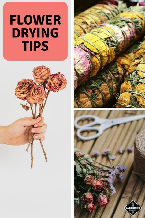 Learn to dry flowers from your yard and garden. Try drying pretty weeds, seedpods, ferns, ornamental grasses, berries and leaves to use as an accent to your dried flower arrangements. #gardeningchannel #gardening #growingflowers #flowergardening #dryingflowers Drying Flowers, Yard And Garden, Dried Bouquet, Gardening 101, Dry Flowers, No Limit, Grow Your Own Food, Seed Pods, Ornamental Grasses