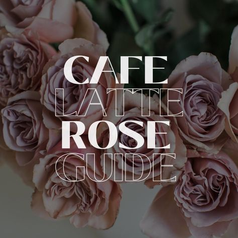 Cafe_Latte_Guide_square Barista Rose, Cafe Latte Rose, Color Guide, Cafe Latte, Rose Flowers, Design Color, Classic White, Color Palettes, Rose Flower