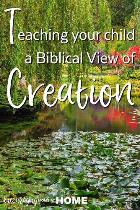 How to teach your child a biblical creation view Biblical Creation, Bible Study Materials, Teaching Resume, Unit Studies Homeschool, Creation Science, Science Reading, Biblical Worldview, Intentional Parenting, Homeschool Inspiration