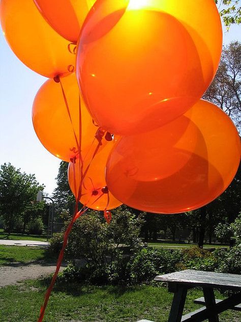 Orange balloons | by pdinnen All Things Orange, Orange Inspiration, Orange Things, Aesthetic Orange, Orange Balloons, Orange Walls, Rainbow Aesthetic, Orange You Glad, Orange Aesthetic