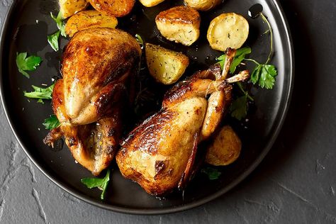 Oven Roasted Quail, Roasted Quail Recipes, Baked Quail Recipes, Roast Quail Recipes, Cooking Quail, French Cassoulet Recipe, Spiralized Zucchini Recipes, Cornish Game Hen Recipes, Recipe With Potatoes