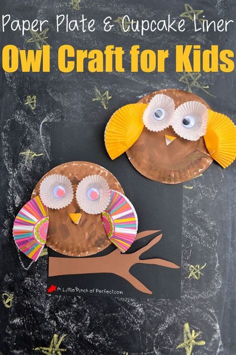 Make this cute Paper Plate and Cupcake Liner Owl Craft your kids or classroom. This craft is easy to make so kids of all ages can make these adorable owls. Enjoy this creative idea while learning about owls with your little one this fall! #craftsforkids #preschool #kindergarten #fall #kidsactivities #cupcakes Pumpkin Crafts Preschool, Cupcake Liner Crafts, Paper Plate Animals, Owl Craft, Paper Plate Crafts For Kids, Arts And Crafts Furniture, Owl Crafts, Bird Crafts, Paper Plate Crafts