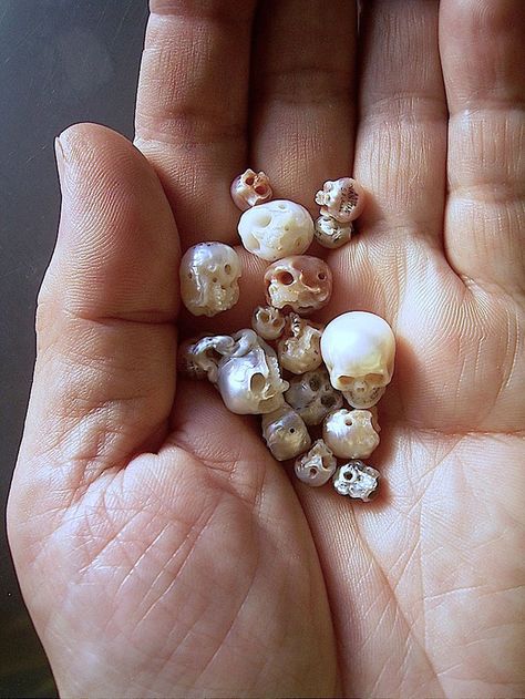 Perfectly carved, tiny skulls made from pearls. Artist: Shinji Nakaba - Imgur Skull Carving, Skull Jewelry, Arte Popular, Skull And Bones, Skull Ring, All Craft, Japanese Artists, The Palm, Skull Art