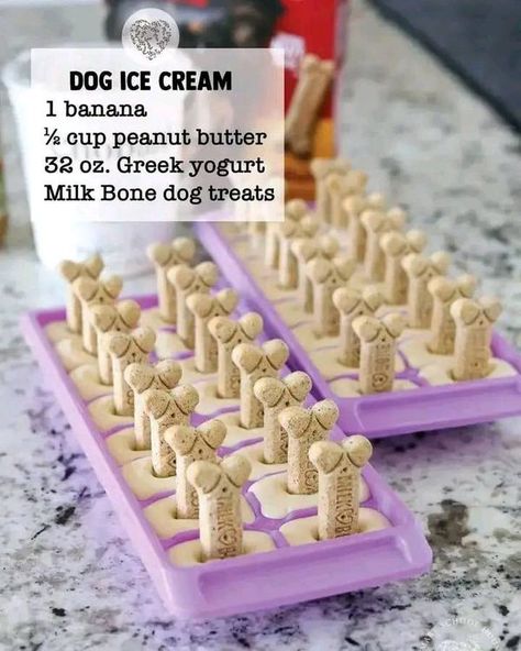 Homemade Dog Treats To Make And Sell | Facebook Homemade Dog Accessories, Treats To Make And Sell, Diy Dog Treats To Sell, Diy Dog Stuff To Sell, Homemade Dog Ice Cream, Dog Treats To Make, Milk Bone Dog Treats, Puppies Stuff, Treats Business