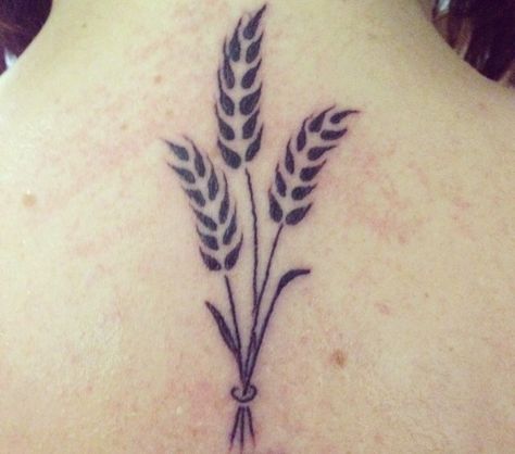 My wheat tattoo for my grandad, my family, my heritage <3 Wheat Images, Virgo Tattoo Ideas, Wheat Tattoo, Cherub Tattoo, Garden Tattoos, Virgo Tattoo, Virgo Traits, Watercolor Feather, Finger Tattoo