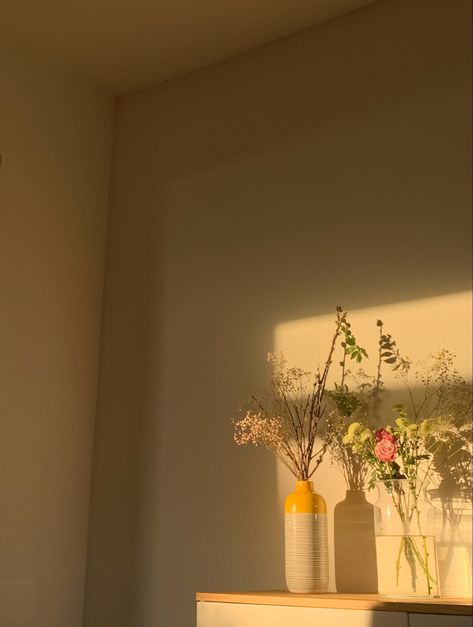 Flowers At Home Aesthetic, Spring Esthetics, Sunny Room Aesthetic, Room With Flowers, Window Background, Sun Window, Sunny Room, Black Joy, Vase Rose