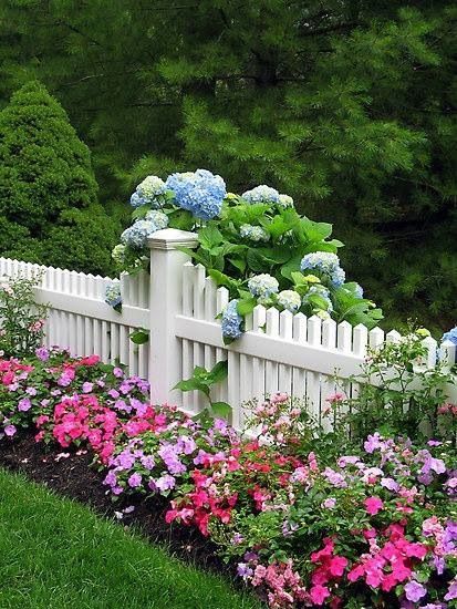 pinterest white picket fence with flowers | Flowers by picket fence | Flowers Ideas Para Decorar Jardines, Flowers Growing, Front Yards, White Picket Fence, Have Inspiration, The Secret Garden, Picket Fence, Garden Fencing, Gorgeous Gardens