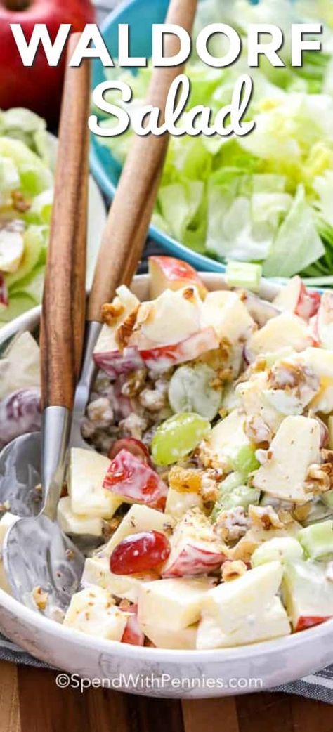 Waldorf salad combines amazing flavors like apples, grapes, walnuts, celery, and raisins in a creamy base. It's the perfect side dish! #spendwithpennies #waldorf #waldofsalad #salad #sidesalad #sidedish #fruitsalad Waldorf Salad Recipe, Salad With Apples, Waldorf Salad, Resep Salad, Apple Salad, Fruit Salad Recipes, Broccoli Salad, Summer Salad, Kale Salad