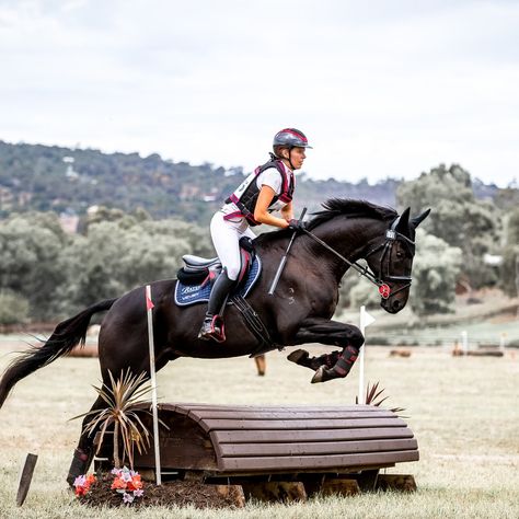 Eventing horse riding cross country equestrian equine photography Cross Country Riding Aesthetic, Horse Riding Cross Country, Equestrian Cross Country, Cross Country Horses, Cross Country Horse Riding, Horse Cross Country, Horse Riding Photography, Horse Disciplines, Horse Riding Outfit Women