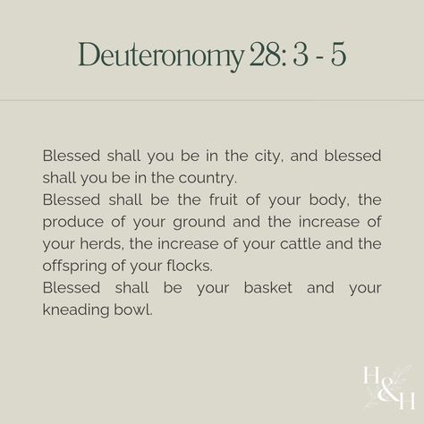 We all know the scripture that says 'You will be the head and not the tail,' but have you ever wondered how you can be the head and not the tail? In Deuteronomy 28, God reveals the abundant blessings that will be poured out on His people who listen to His voice and keep His commandments. Scroll through this carousel to make these blessings your own. #deuteronomy #blessed #godsvoice #hopeandhealing #headandnotthetail #bibleversesdaily #obedience #yeshua #yahweh #blessedlife God Reveals, Deuteronomy 28, His Voice, Blessed Life, Scripture Quotes, The Head, Say You, Have You Ever, Body Oil