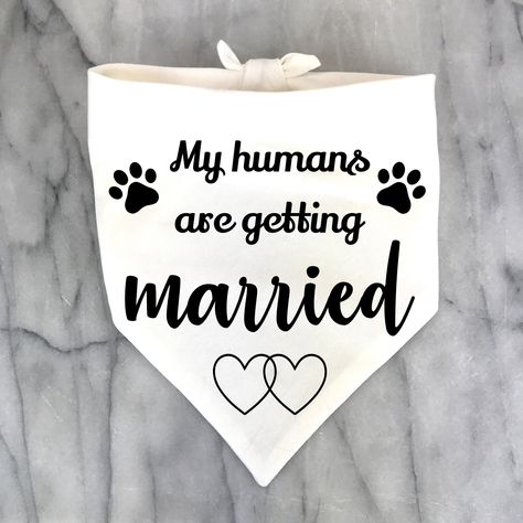 Dog Bandana For Wedding, Wedding Bandanas For Dogs, Dog Bandana Wedding, Engagement Dog Bandana, Dogs In Weddings Ceremony, Dogs At Weddings Ideas, My Parents Are Getting Married, Wedding Wagon, Dog Tuxedo Wedding