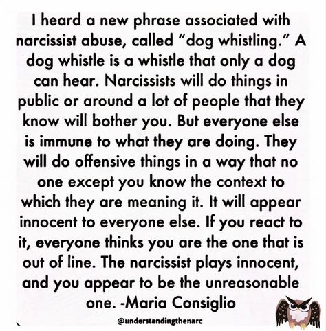 Narcisstic Personality Disorder, You Deserve Better Quotes, Maria Consiglio, What Is Narcissism, Family Issues Quotes, Empowered Empath, Teaching Emotions, Narcissism Quotes, Narcissism Relationships