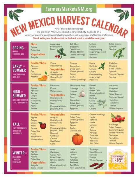 What’s in Season? – New Mexico Farmers' Marketing Association New Mexico Gardening, In Season Fall Produce, New Mexico Homestead, California Seasonal Produce Guide, November Seasonal Produce, Michigan Planting Calendar, How To Cook Radishes, Corn Vegetable, Cherries Salad