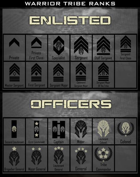 The Warrior Tribe Ranking System, Clearance levels, & Proficiency Badges Knight Ranks, Sci Fi Uniform, Army Ranks, Military Ranks, Master Sergeant, Military Insignia, Staff Sergeant, Story Map, Anime Cover Photo