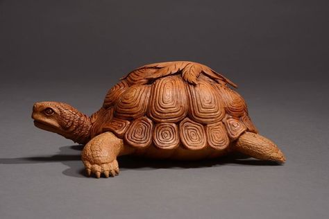 #turtle #woodenfigure Turtle Carving, Wooden Turtle, Driftwood Art Sculpture, Wood Carving Art Sculpture, Handmade Wood Crafts, Ceramic Turtle, Turtle Sculpture, Ceramic Frogs, Wood Owls