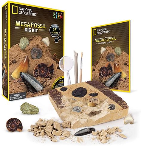 Amazon.com: NATIONAL GEOGRAPHIC Mega Fossil Dig Kit – Excavate 15 real fossils including Dinosaur Bones & Shark Teeth, Educational Toys, Great Gift for Girls and Boys, an AMAZON EXCLUSIVE Science Kit: Toys & Games Fun Toys For Kids, Real Dinosaur, Best Educational Toys, Toys For Tots, National Geographic Kids, Dinosaur Activities, Dinosaur Crafts, Stem For Kids, Science Toys