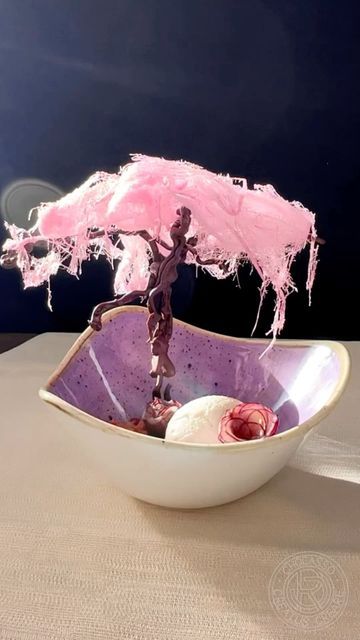 Josia Reichen on Instagram: "„Cranberry Cotton Candy Tree“ Fancy Dessert Decoration With @ricola 🇨🇭 #ricola #amazingdesserts #inspiringart #instafood #pastrychef # #crazyskills #pastryskills #artofplating #artonplate #cottoncandy #cottoncandyart #cakestagram #instayummi #professionalchefs #gourmetartistry #paintingfood #pastryelite #sugarart #kitchenskills #professionalchef #passionfood #pastryart #platingdessert #decoratingideas #enjoyfood #creatuscreare #satisfying #satisfyingvideos #ca Cotton Candy Tree, Cotton Candy Cakes, Dessert Decor, Chocolate Bowls, Chocolate Tree, 13 Birthday, Candy Tree, Bite Size Desserts, Presentation Ideas