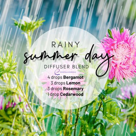 RAINY SUMMER DAY DIFFUSER BLEND  When you're stuck inside on a summer day, it can be a real  bummer. This Summer Rain diffuser blend is here to bring the sunshine indoors. Your space will feel like a sunny paradise, even if it's raining, or you're stuck doing chores or working from home.  So, next time you're feeling a bit bummed out, about being indoors, just start up your diffuser and let the summer vibes flow.   #outdooradventure #summeradventures #themeofthemonth #essentially_loving_oils Rain Diffuser Blend, Rain Diffuser, Rainy Summer Day, Rainy Summer, Doing Chores, Paradise Travel, Clean Lifestyle, Diffuser Blend, Stuck Inside