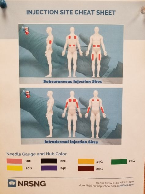 Injection site cheat sheet Types Of Injections Nursing, Injection Sites Cheat Sheet, Psychiatric Technician, Intramuscular Injection Sites, Adipex Diet, Lvn School, School Values, Er Nursing, Injection Sites