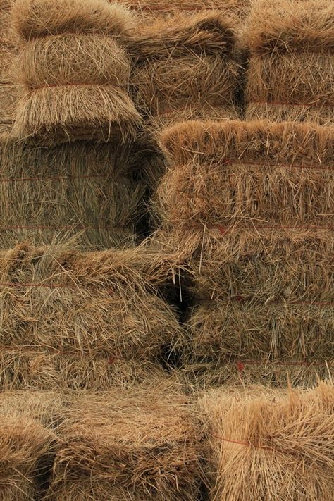 . Straw Bales, Organic Compost, Hay Bales, Farms Living, Down On The Farm, Taylor Swift Album, Rural Life, Country Farm, Pics Art