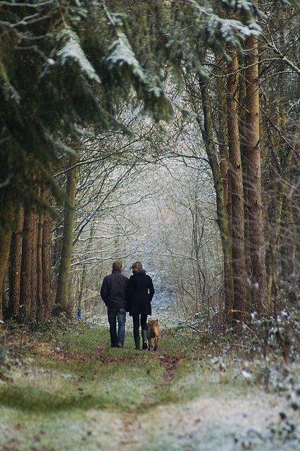 A Snowy Day, People Walking, Winter Walk, Snowy Day, Walk In The Woods, Foto Inspiration, Shoot Ideas, Engagement Shoot, Winter Scenes