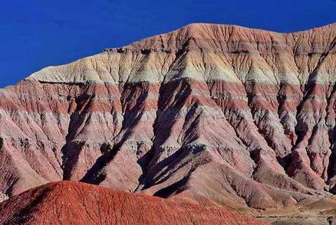 Desert Arizona, Trip To Grand Canyon, Petrified Forest National Park, Painted Desert, Flagstaff Arizona, Arizona Hiking, Desert Mountains, Petrified Forest, Desert Painting