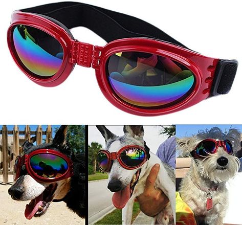 Amazon.com : QUMY Dog Goggles Eye Wear Protection Waterproof Pet Sunglasses for Dogs About Over 15 lbs : Pet Supplies Shade For Dogs, Best Dog Halloween Costumes, Diy Cat Scratcher, Dog Goggles, Large Breed Dogs, Dog Sunglasses, Protection Eye, Pet Food Storage, Cat Scratchers