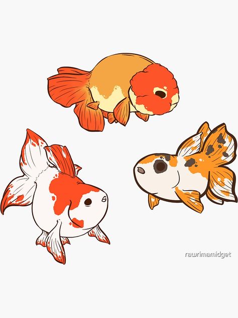 "Fancy Goldfish Sticker Set 2" Sticker by rawrimamidget | Redbubble Fish Sketch, Fancy Goldfish, Goldfish Art, Cute Fish, Fish Drawings, Little Doodles, Creature Drawings, Drawing Inspo, Cute Little Drawings