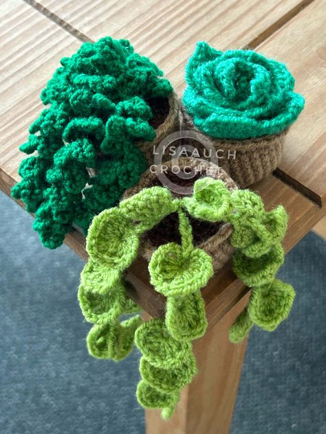 Crochet Hanging Vines, Crocheted Plants, Crochet Succulent, Quick Crochet Projects, Crochet Garden, Crochet Hanging, Crochet Leaf Patterns, Easy Crochet Hat, Crochet Baby Hat Patterns