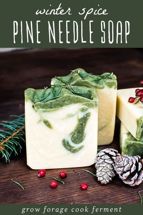 Learn how to make natural Holiday Spice Pine Soap with wild foraged conifer needles to moisturize dry winter skin. With an amazing sweet-spicy evergreen scent it will be your favorite bar! It also makes the perfect DIY herbal Christmas gift! Soap Making Christmas, Diy Dr Squatch Soap Recipe, Pine Soap Recipe, Homemade Christmas Soap, Herbal Soap Recipes, Soap Scents Combinations, Christmas Soap Diy, Cinnamon Soap Recipe, Christmas Soap Recipes