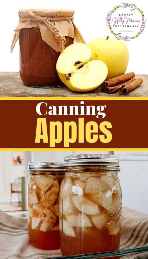 Apple Recipes For Canning, Canning Chili, Preserving Apples, Canning Potatoes, Water Bath Canning Recipes, Canning Apples, Pressure Canning Recipes, Canning Vegetables, Apple Recipe