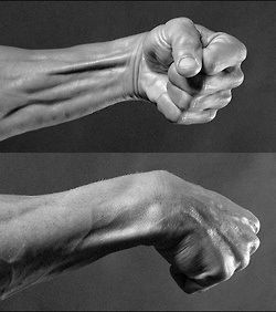 Wrist Anatomy Drawing, Tense Hands Reference, Punch Hand Reference, Hands Anatomy Reference, Neck Anatomy Reference, Hand Photo Reference, Arm Anatomy Reference, Clenched Fist Drawing Reference, Muscular Hands