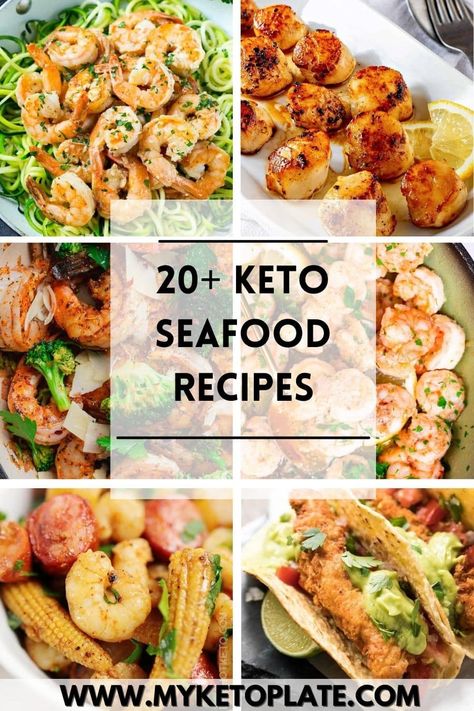 If you are a fan o seafood, then you've come to the right place. We've created a list with 20+ keto seafood recipes that are not only low-carb but also packed with many nutrients and delicious flavors. Low Carb Seafood Recipes, Low Carb Seafood, Keto Basics, Keto Seafood Recipes, Keto Seafood, Delicious Keto Recipes, Delicious Seafood Recipes, Recipes Low Carb, Scallop Recipes