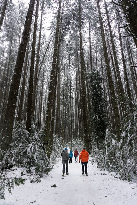 9 Winter Hiking Tips (You Don't Have to Freeze!) - Happiest Outdoors How To Stay Warm, Tips For Winter, Outdoor Travel Outfit, Yosemite Camping, Lake George Village, Summer Vacation Spots, Hiking Training, Fun Winter Activities, Romantic Cruise