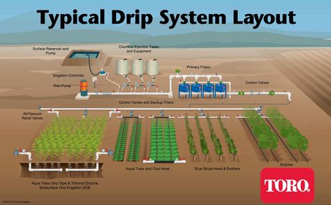 Drip Irrigation System Design, Sprinkler System Design, Irrigation System Design, Drip Tape, Garden Watering System, Irrigation Controller, Garden Irrigation System, Digital Calligraphy, Sprinkler Irrigation