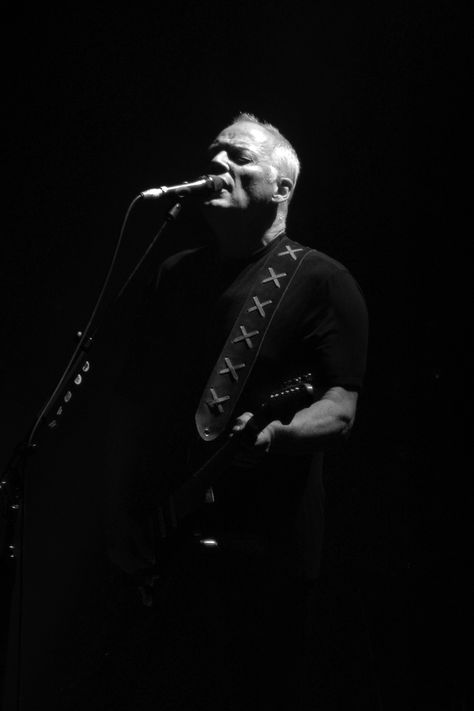 David Gilmour, what a photo! David Gilmour Aesthetic, David Gilmour Wallpapers, Roger Waters David Gilmour, David Gilmour Guitar, David Gilmore, Guitar Legends, David Gilmour Pink Floyd, Pink Floyd Art, Pink Floyd Wall