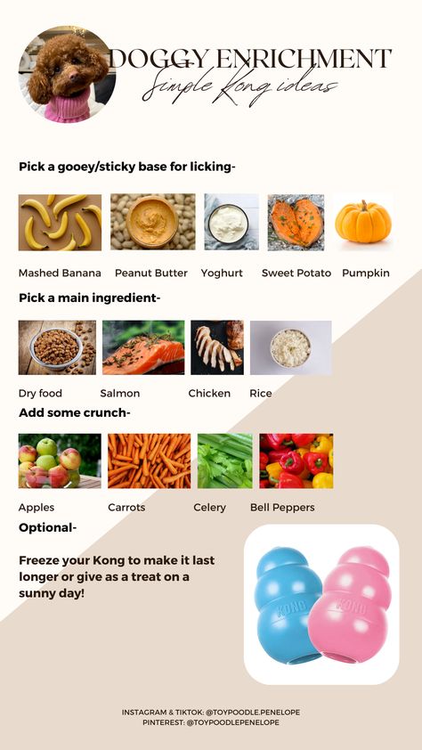 Simple ways to fill a Kong- Dog enrichment #inkpixi #personalizedgifts #pets #dogs #dog #food #fruits #vegetables #pets #safe. Find out more here 👉 https://medium.com/p/d0c0192acd76/?food Kong Filling Ideas, Kong Recipe, Whelping Puppies, Diet Healthy Food, Pet Treats Recipes, Food For Dogs, Dog Remedies, Healthy Dog Treats Homemade, Puppy Mom