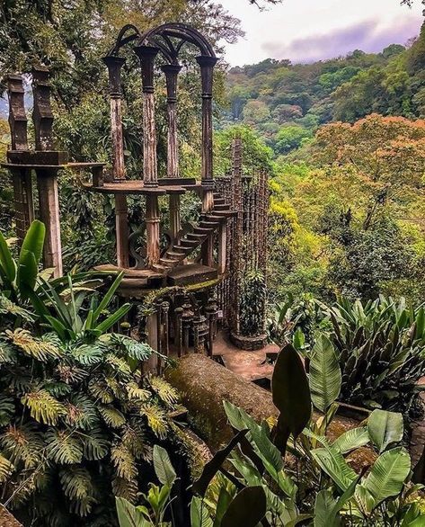 Cenotes Mexico, Visual Board, Adventure Bucket List, Gorgeous Gardens, Fairy Land, Mexico Travel, Central America, Summer Travel, Travel With Kids