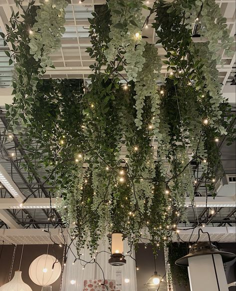 Hanging eucalyptus plants and string lights above a patio Eucalyptus Fairy Lights, Greenery On Ceiling Bedroom, Hanging Ceiling Decor, Fairy Lights Ceiling, Ceiling Tiles Diy, Hang From Ceiling Decor, Hanging Eucalyptus, Staircase Wall Decor, Dorm Bathroom