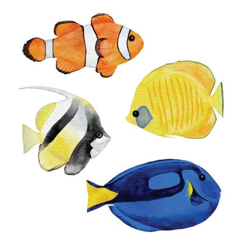 Tropical Fish Tanks, Fish Icon, Watercolor Tropical, Cartoon Fish, Fish Vector, Watercolor Fish, Fish Stock, Cute Fish, Fish Drawings