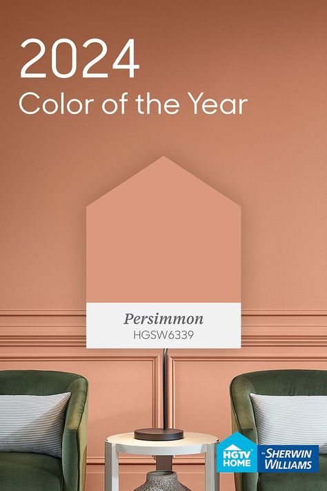 Our 2022 Color of the Year is Persimmon (HGSW6339), a warm terracotta shade with tangerine undertones. This energetic shade pairs perfectly with other uplifting shades to bring attention to the focal points of your home. Persimmon Wall Color, Persimmon Homes Living Rooms, Boho Home Paint Colors, Persimmon Bathroom, 2024 Home Office Trends, 2024 Color Of The Year Pantone, Persimmon Color Palette, Persimmon Paint Color, Persimmon Interior