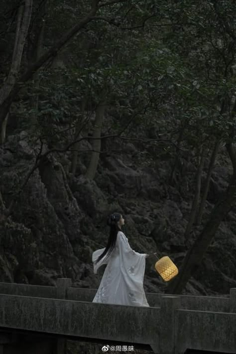 Hanfu Aesthetic, Tgcf Oc, Ancient Chinese Aesthetic, Six Crimson Cranes, Daughter Of The Moon Goddess, Ancient China Aesthetic, Dark Fantasy Aesthetic, Medieval Attire, Lan Jingyi