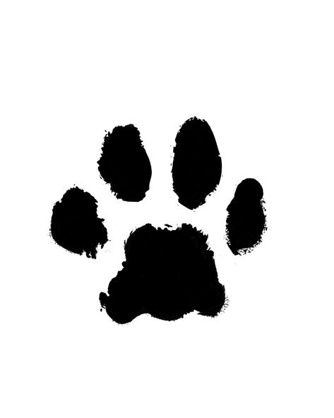 Wolf Paw Print, Jersey Ideas, Dog Paw Tattoo, Wolf Paw, Tattoo Wrist, Paw Tattoo, Tattoo Design Book, Bear Paws, Design Book