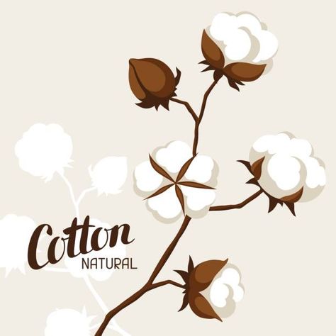 5,190 Cotton Stalks Stock Photos, Pictures & Royalty-Free Images - iStock Cotton Bolls, Cotton Branches, Stylized Illustration, Boll & Branch, Camera Wallpaper, Branch Vector, Cotton Boll, Flower Drawing Design, Memory Crafts