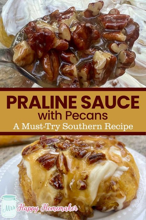 Praline Sauce with Pecans (A Must-Try Southern Recipe) Praline Sauce Recipe, Praline Pecans Recipe, Pecan Praline Sauce, Southern Praline, Praline Sauce, Pecan Sauce, Praline Recipe, Southern Recipe, Pecan Praline