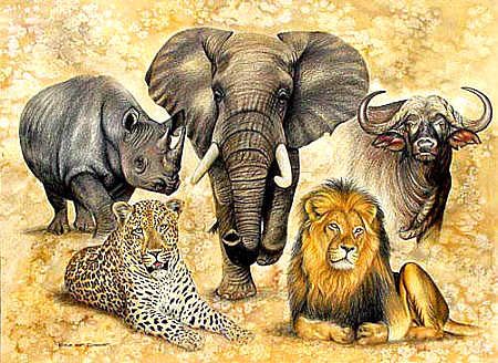 Big Five Animals Drawings, Big 5 Animals Drawings, Big Five Animals Art, Animals Wild Amazing Photos, Big Five Tattoo, African Animal Drawings, The Big Five Animals, Big 5 Animals, Big Five Animals